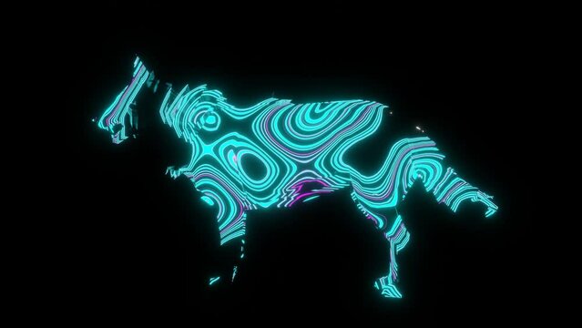 4K video animation of beautiful texture or pattern formation on the wolf body shape, isolated on black background. 3d rendering abstract seamless loop neon lighting effect on the wolf.