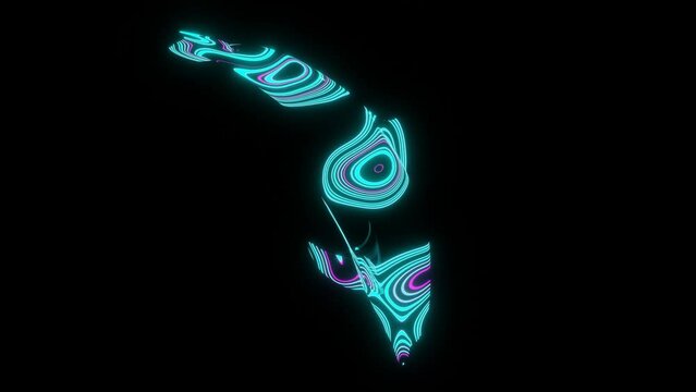 4K video animation of beautiful texture or pattern formation on the dolphin body shape, isolated on black background. 3d rendering abstract seamless loop neon lighting effect on dolphin.