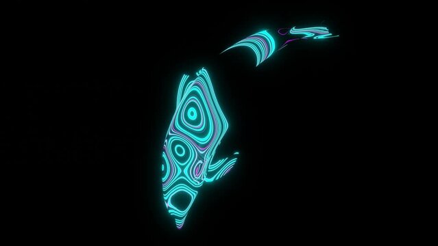 4K video animation of beautiful texture or pattern formation on the dolphin body shape, isolated on black background. 3d rendering abstract seamless loop neon lighting effect on dolphin.