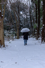 雪の日の森の中を歩く女性