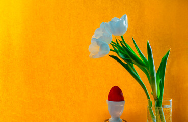  white tulip and red easter egg on a orange background