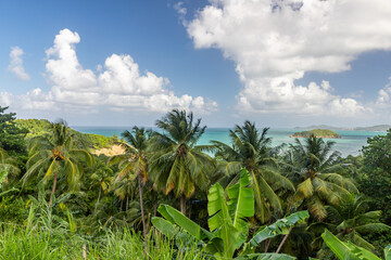 Fototapeta na wymiar View across the bay in Martinique, France