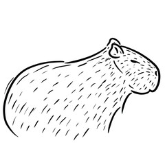 cute capybara line art illustration