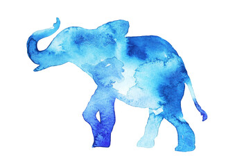Blue elephant, decorative watercolor image. - 570647769