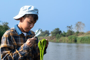 Asian schoolboy holding magnifying glass and looking through freshwater algae from local river to...