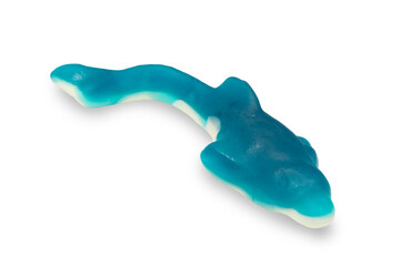 marmalade dolphin isolated on a white background