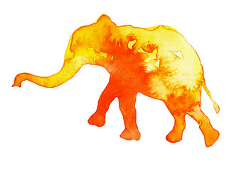 Solar elephant. Bright watercolor stain. - 570649355