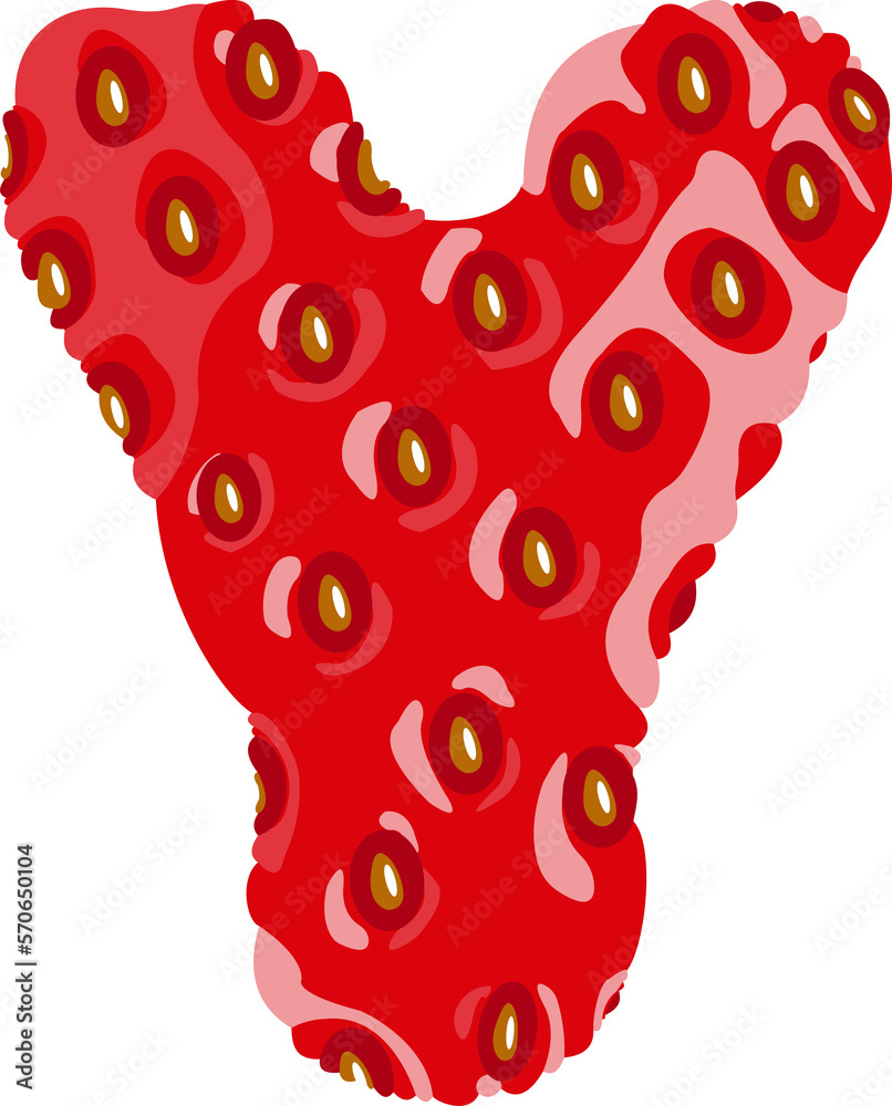 Fototapete Strawberry font. Letter Y. Alphabetical character with strawberry texture. Character representing one or more of the sounds used in speech. Decorative fruit font. Vector illustration.