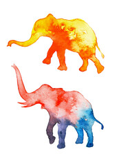 Two watercolor elephants in bright
colors. Decorative art. - 570650161