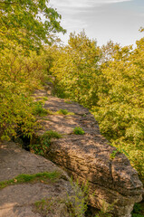 The Ancient Niagara Escarpment At High Cliff State Park Near Sherwood, Wisconsin