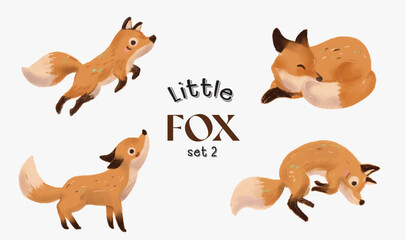 Cute little fox illustration