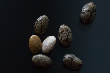 macro photo of chia seeds on black background
