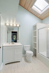 White bathroom details with skylight and wood tongue groove ceiling.