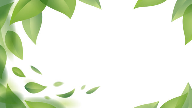 Green leaves in motion design. Fresh flying foliage in the wind isolated on a white background. Vector illustration.