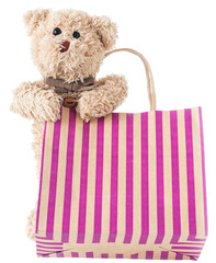 A happy teddy bear is shopping, shopping online - 570661314