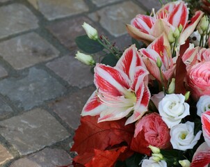 Ritterstern / Amaryllis im Trauerkranz nach Beerdigung auf dem Friedhof