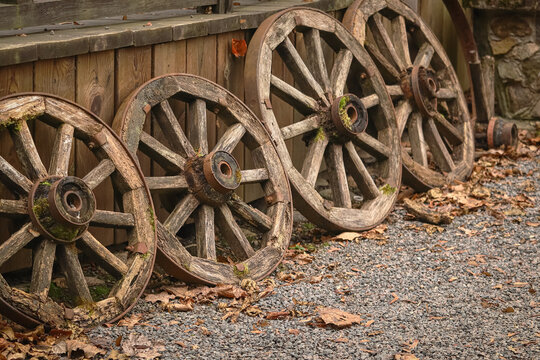 Old wooden wheels arranged in a row near wooden plank elevation on pebble road with autumn leaves
