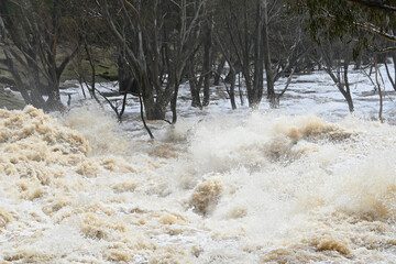 tsunami destruction caused by flooding, natural disaster 