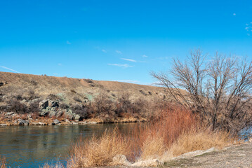 Banks of the Colorado River near Fruita, Colorado on a sunny day in early winter with copy space in the blue sky