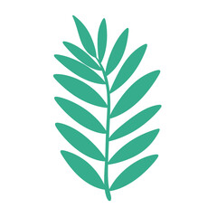 tropical green leaf icon.