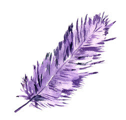 Watercolor purple carnival feather, hand drawn, french traditional mardi gras symbol.