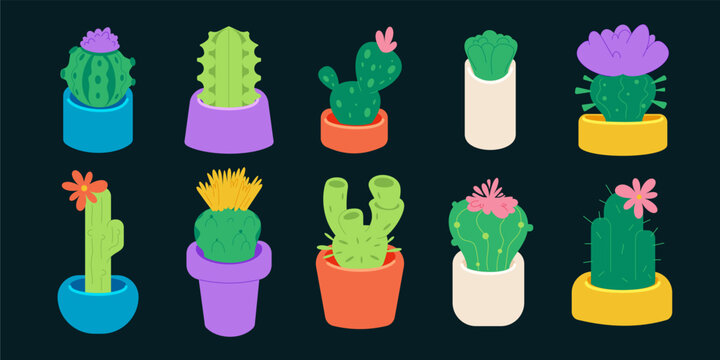 Flat Cactus Illustrations