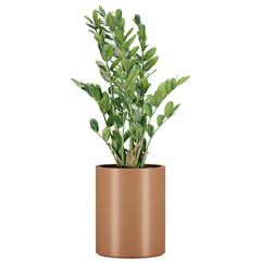 indoor decoration plant in pot, isolated on transparent or white background, photoreal 3d render