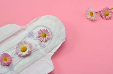 a menstrual pad and daisy flowers on a pink background as a symbol of female fragility © Viktoriia Kolosova