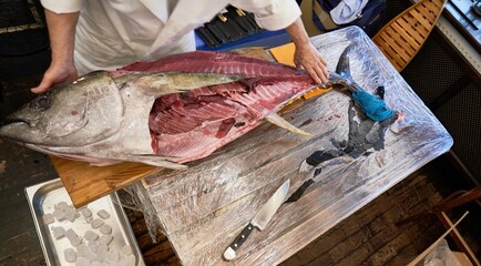 Japanese sushi master chef cutting up and preparing huge fresh tuna fish on kitchen table.