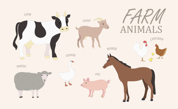Farm animals, cow, pig, horse, sheep. goat, chicken, goose, poultry, sketch style set with animals, realistic animals set for educational purpuse.