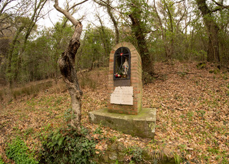Italy, Tuscany, Maremma, Grosseto, trip, mountain biking, woods, municipality of Scarlino, Convent of Santa Maria, upstream of Muro the Madonna del Bosco