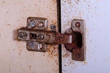 kitchen furniture door hinge dirty rusty cockroach droppings - obrazy, fototapety, plakaty