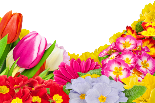 Blumen und Hintergrund transparent PNG cut out