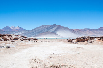 Deserto de Atacama lakes, salar. Landscape with view on a lake in the Desert of Atacama in Chile,...