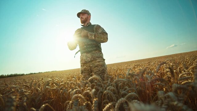 Camera moving to Ukrainian soldier stand in a wheat field, dressed in camouflage looking around. Brave man. War. Military concept. Sunlight