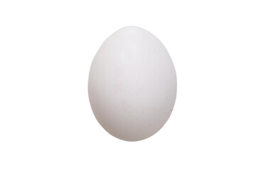 Perfect egg layout, isolated, transparent background, PNG.