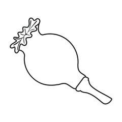 Poppy flower vector outline icon. Vector illustration poppy on white background. Isolated outline illustration icon of elower.
