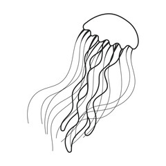 Jellyfish vector icon.Outline vector icon isolated on white background jellyfish.