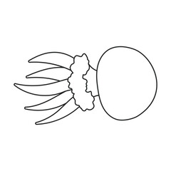 Jellyfish vector icon.Outline vector icon isolated on white background jellyfish.