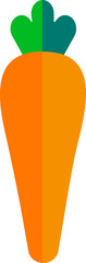 Carrot Icon
