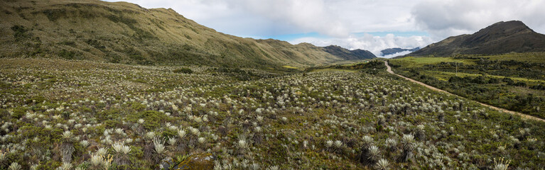view of the mountains