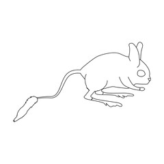 Rat vector icon.Outline vector icon isolated on white background rat.