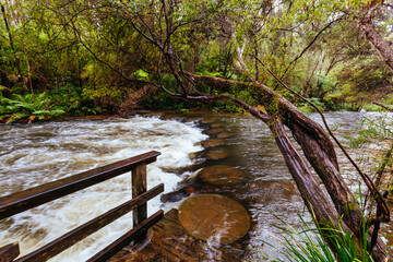 Obraz premium Little Peninsula Tunnel in Warburton Australia