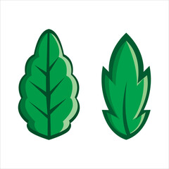set of green leaves vector