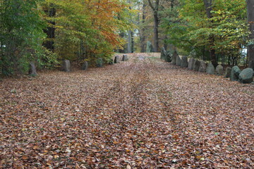 The Glavendrup ancient burial site, Denmark