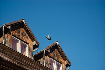 old house with sky and a flying bird in Debrecen Hungary 