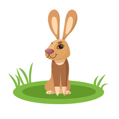 Rabbit design print. Easter Bunny. Cute rabbit on a white background.  Vector.