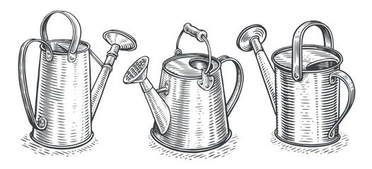 Retro watering can vector. Gardening tool or agricultural implement used in horticulture and plant cultivation © ~ Bitter ~