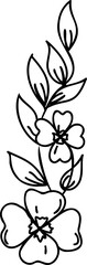 Line art flower. Line art hand drawn stile linear flower. PNG with transparent background