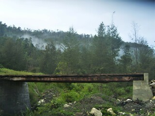 Old broken bridge with forest trees behind it